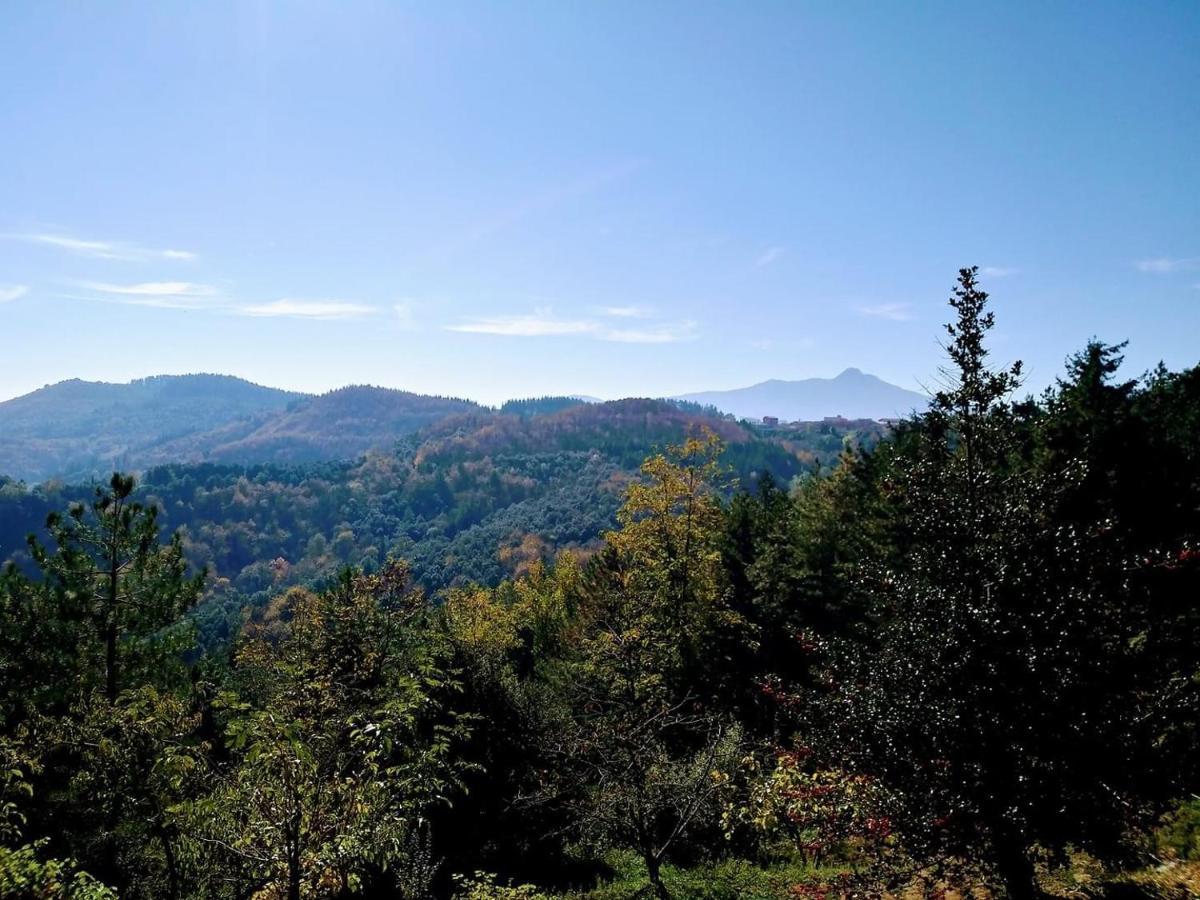 Apartaments Els Pins - Sant Hilari Sacalm Bagian luar foto